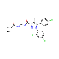 Cc1c(C(=O)NCNC(=O)C2CCC2)nn(-c2ccc(Cl)cc2Cl)c1-c1ccc(Cl)cc1 ZINC000040409972