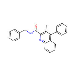 Cc1c(C(=O)NCc2ccccc2)nc2ccccc2c1-c1ccccc1 ZINC000013525332