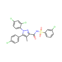 Cc1c(C(=O)NS(=O)(=O)c2cccc(Cl)c2)nn(-c2ccc(Cl)cc2Cl)c1-c1ccc(Cl)cc1 ZINC000042888142