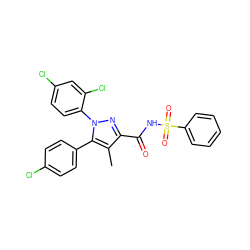 Cc1c(C(=O)NS(=O)(=O)c2ccccc2)nn(-c2ccc(Cl)cc2Cl)c1-c1ccc(Cl)cc1 ZINC000049872203