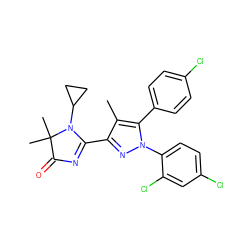 Cc1c(C2=NC(=O)C(C)(C)N2C2CC2)nn(-c2ccc(Cl)cc2Cl)c1-c1ccc(Cl)cc1 ZINC000040977443