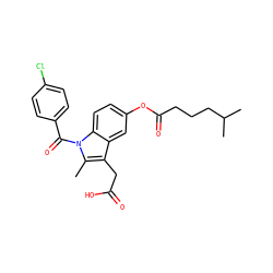 Cc1c(CC(=O)O)c2cc(OC(=O)CCCC(C)C)ccc2n1C(=O)c1ccc(Cl)cc1 ZINC000013862793