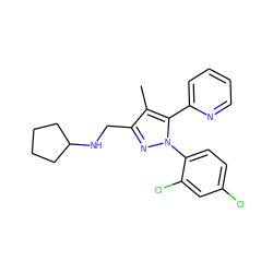 Cc1c(CNC2CCCC2)nn(-c2ccc(Cl)cc2Cl)c1-c1ccccn1 ZINC000040892465