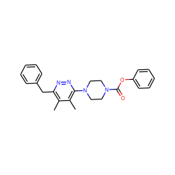 Cc1c(Cc2ccccc2)nnc(N2CCN(C(=O)Oc3ccccc3)CC2)c1C ZINC000117242011