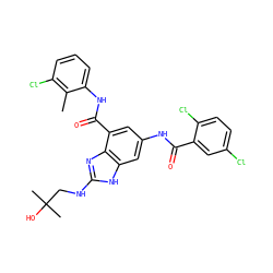 Cc1c(Cl)cccc1NC(=O)c1cc(NC(=O)c2cc(Cl)ccc2Cl)cc2[nH]c(NCC(C)(C)O)nc12 ZINC000205656548