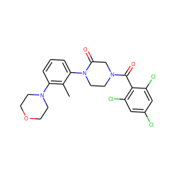 Cc1c(N2CCOCC2)cccc1N1CCN(C(=O)c2c(Cl)cc(Cl)cc2Cl)CC1=O ZINC000059298813