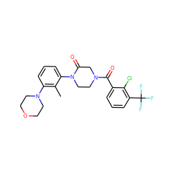 Cc1c(N2CCOCC2)cccc1N1CCN(C(=O)c2cccc(C(F)(F)F)c2Cl)CC1=O ZINC000059298812