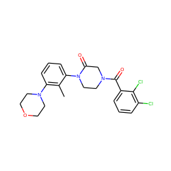 Cc1c(N2CCOCC2)cccc1N1CCN(C(=O)c2cccc(Cl)c2Cl)CC1=O ZINC000059298810