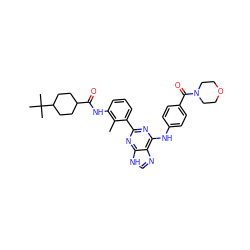 Cc1c(NC(=O)C2CCC(C(C)(C)C)CC2)cccc1-c1nc(Nc2ccc(C(=O)N3CCOCC3)cc2)c2nc[nH]c2n1 ZINC000169341172