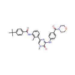 Cc1c(NC(=O)c2ccc(C(C)(C)C)cc2)cccc1-c1cn(C)c(=O)c(Nc2ccc(C(=O)N3CCOCC3)cc2)n1 ZINC000058631343