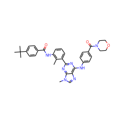 Cc1c(NC(=O)c2ccc(C(C)(C)C)cc2)cccc1-c1nc(Nc2ccc(C(=O)N3CCOCC3)cc2)c2ncn(C)c2n1 ZINC000169340175