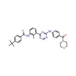 Cc1c(NC(=O)c2ccc(C(C)(C)C)cc2)cccc1-c1ncnc(Nc2ccc(C(=O)N3CCOCC3)cc2)n1 ZINC000206124676