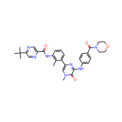 Cc1c(NC(=O)c2cnc(C(C)(C)C)cn2)cccc1-c1cn(C)c(=O)c(Nc2ccc(C(=O)N3CCOCC3)cc2)n1 ZINC000115159878