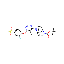 Cc1c(Oc2ccc(S(C)(=O)=O)cc2F)ncnc1N1C2CC3CC1CC(C2)N3C(=O)OC(C)(C)C ZINC000095594617