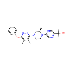 Cc1c(Oc2ccccc2)nnc(N2CCN(c3cnc(C(C)(C)O)cn3)[C@H](C)C2)c1C ZINC000117265385