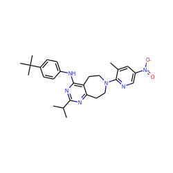 Cc1cc([N+](=O)[O-])cnc1N1CCc2nc(C(C)C)nc(Nc3ccc(C(C)(C)C)cc3)c2CC1 ZINC000144863610