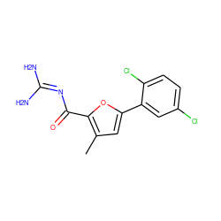 Cc1cc(-c2cc(Cl)ccc2Cl)oc1C(=O)N=C(N)N ZINC000028822479