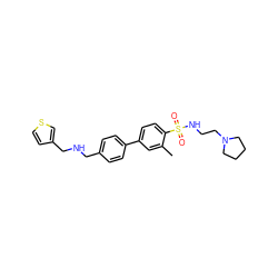 Cc1cc(-c2ccc(CNCc3ccsc3)cc2)ccc1S(=O)(=O)NCCN1CCCC1 ZINC000045166950