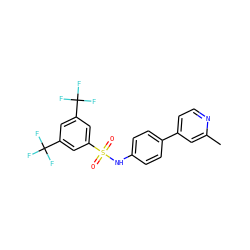 Cc1cc(-c2ccc(NS(=O)(=O)c3cc(C(F)(F)F)cc(C(F)(F)F)c3)cc2)ccn1 ZINC000103283628
