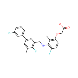 Cc1cc(-c2cccc(F)c2)cc(CNc2c(F)ccc(OCC(=O)O)c2C)c1F ZINC000218847043