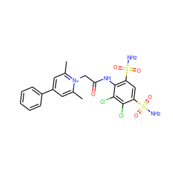 Cc1cc(-c2ccccc2)cc(C)[n+]1CC(=O)Nc1c(S(N)(=O)=O)cc(S(N)(=O)=O)c(Cl)c1Cl ZINC000026818013