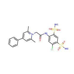 Cc1cc(-c2ccccc2)cc(C)[n+]1CC(=O)Nc1cc(Cl)c(S(N)(=O)=O)cc1S(N)(=O)=O ZINC000013804364