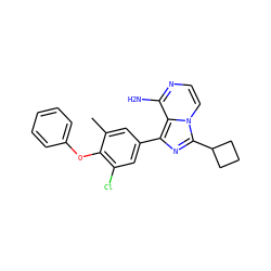 Cc1cc(-c2nc(C3CCC3)n3ccnc(N)c23)cc(Cl)c1Oc1ccccc1 ZINC000096168119