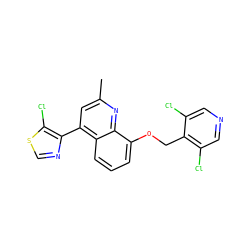 Cc1cc(-c2ncsc2Cl)c2cccc(OCc3c(Cl)cncc3Cl)c2n1 ZINC000043076061