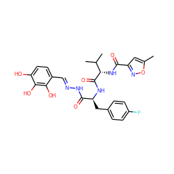 Cc1cc(C(=O)N[C@H](C(=O)N[C@@H](Cc2ccc(F)cc2)C(=O)N/N=C/c2ccc(O)c(O)c2O)C(C)C)no1 ZINC001772623377