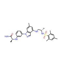 Cc1cc(C)c(S(=O)(=O)N[C@@H](C)CNc2cc(C)cc3c2cnn3-c2cccc(N[C@@H](C)C(N)=O)c2)c(C)c1 ZINC000066075688