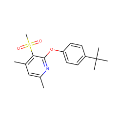 Cc1cc(C)c(S(C)(=O)=O)c(Oc2ccc(C(C)(C)C)cc2)n1 ZINC000001387815