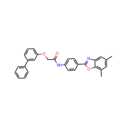 Cc1cc(C)c2oc(-c3ccc(NC(=O)COc4cccc(-c5ccccc5)c4)cc3)nc2c1 ZINC000029049418