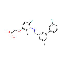 Cc1cc(CNc2c(F)ccc(OCC(=O)O)c2C)cc(-c2cccc(F)c2)c1 ZINC000218861101