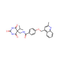 Cc1cc(COc2ccc(C(=O)NCC3(C(C)C)C(=O)NC(=O)NC3=O)cc2)c2ccccc2n1 ZINC000028892572