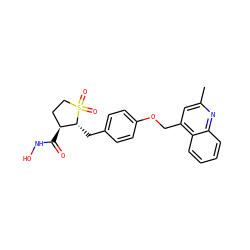 Cc1cc(COc2ccc(C[C@@H]3[C@@H](C(=O)NO)CCS3(=O)=O)cc2)c2ccccc2n1 ZINC000028570432