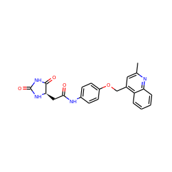 Cc1cc(COc2ccc(NC(=O)C[C@H]3NC(=O)NC3=O)cc2)c2ccccc2n1 ZINC000028897239