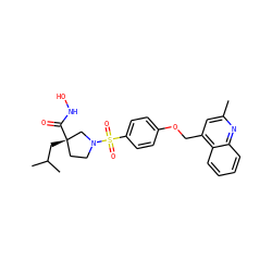 Cc1cc(COc2ccc(S(=O)(=O)N3CC[C@](CC(C)C)(C(=O)NO)C3)cc2)c2ccccc2n1 ZINC001772615926