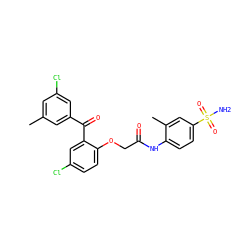 Cc1cc(Cl)cc(C(=O)c2cc(Cl)ccc2OCC(=O)Nc2ccc(S(N)(=O)=O)cc2C)c1 ZINC000013679768