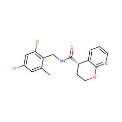 Cc1cc(Cl)cc(Cl)c1CNC(=O)[C@H]1CCOc2ncccc21 ZINC000205614802