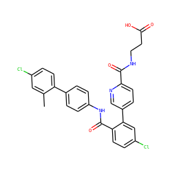 Cc1cc(Cl)ccc1-c1ccc(NC(=O)c2ccc(Cl)cc2-c2ccc(C(=O)NCCC(=O)O)nc2)cc1 ZINC000148196720