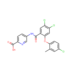 Cc1cc(Cl)ccc1Oc1cc(Cl)c(Cl)cc1C(=O)Nc1ccc(C(=O)O)nc1 ZINC000143182890