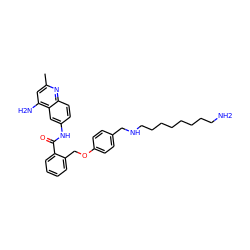 Cc1cc(N)c2cc(NC(=O)c3ccccc3COc3ccc(CNCCCCCCCCN)cc3)ccc2n1 ZINC000071296443