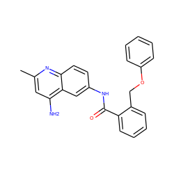 Cc1cc(N)c2cc(NC(=O)c3ccccc3COc3ccccc3)ccc2n1 ZINC000013835517