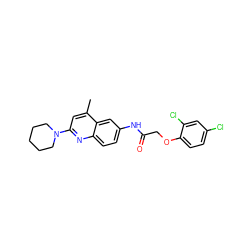 Cc1cc(N2CCCCC2)nc2ccc(NC(=O)COc3ccc(Cl)cc3Cl)cc12 ZINC000003626312