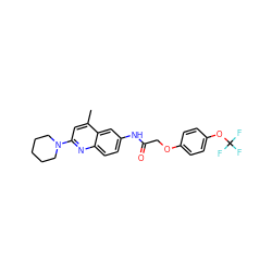 Cc1cc(N2CCCCC2)nc2ccc(NC(=O)COc3ccc(OC(F)(F)F)cc3)cc12 ZINC000013671971