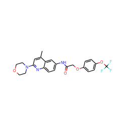 Cc1cc(N2CCOCC2)nc2ccc(NC(=O)COc3ccc(OC(F)(F)F)cc3)cc12 ZINC000013671953