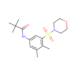 Cc1cc(NC(=O)C(C)(C)C)cc(S(=O)(=O)N2CCOCC2)c1C ZINC000045348454