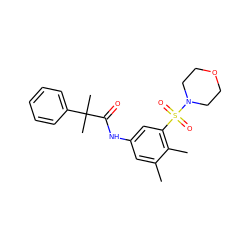 Cc1cc(NC(=O)C(C)(C)c2ccccc2)cc(S(=O)(=O)N2CCOCC2)c1C ZINC000045350279