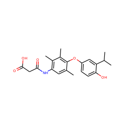 Cc1cc(NC(=O)CC(=O)O)c(C)c(C)c1Oc1ccc(O)c(C(C)C)c1 ZINC000084728944