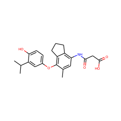 Cc1cc(NC(=O)CC(=O)O)c2c(c1Oc1ccc(O)c(C(C)C)c1)CCC2 ZINC000003817460